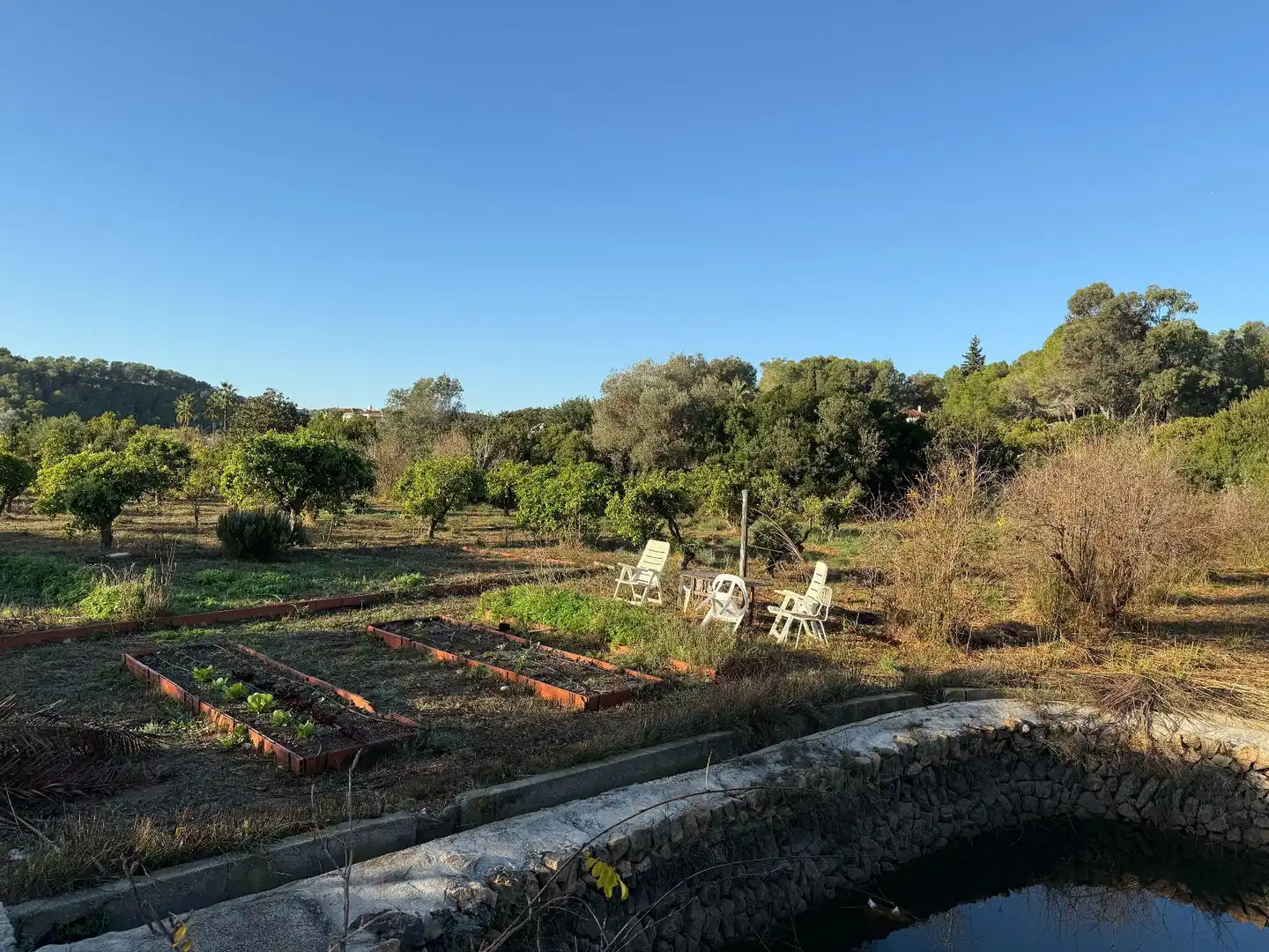 Rural land for sale in Altea la Vella, imagen 3