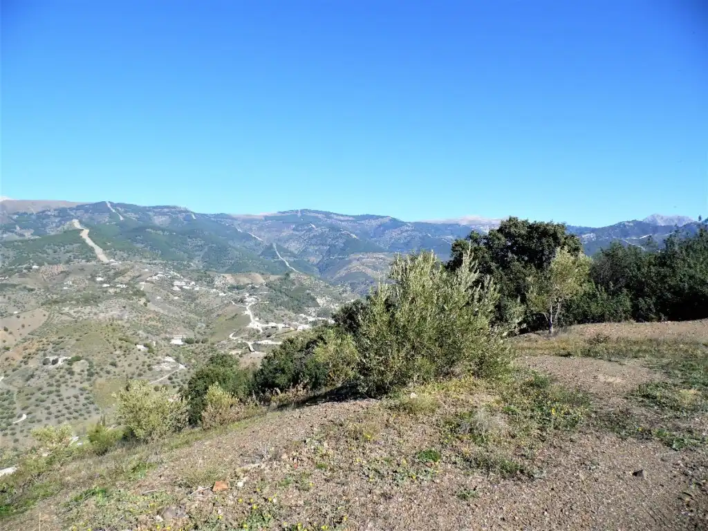 Vista exterior de Finca rústica en venda en Canillas de Albaida