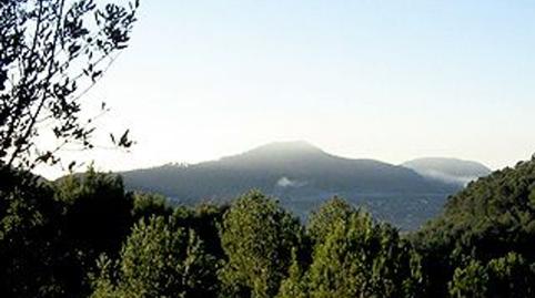 Photo 2 of Residential for sale in Port d'Andratx, Illes Balears