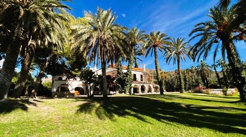 Foto 5 de Finca rústica en venta en Novelda, Alicante
