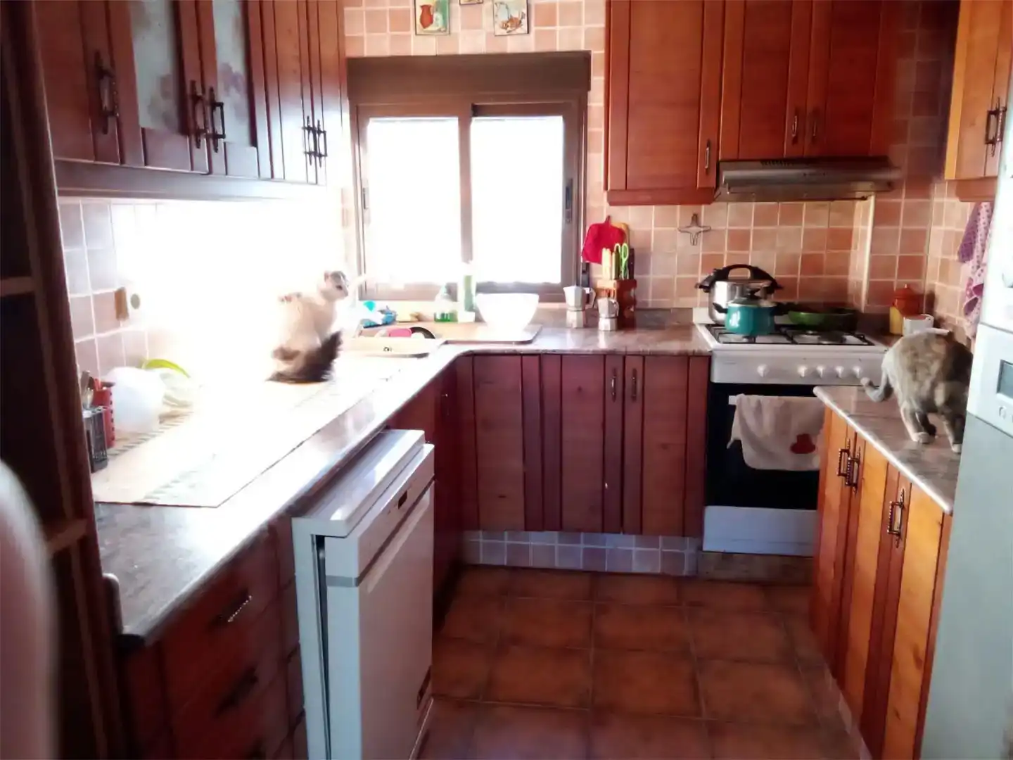 Cuina de Casa o xalet en venda en Yátova amb Balcó