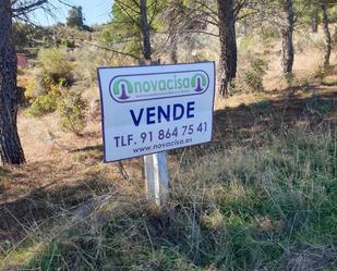 Land for sale in El Tiemblo 