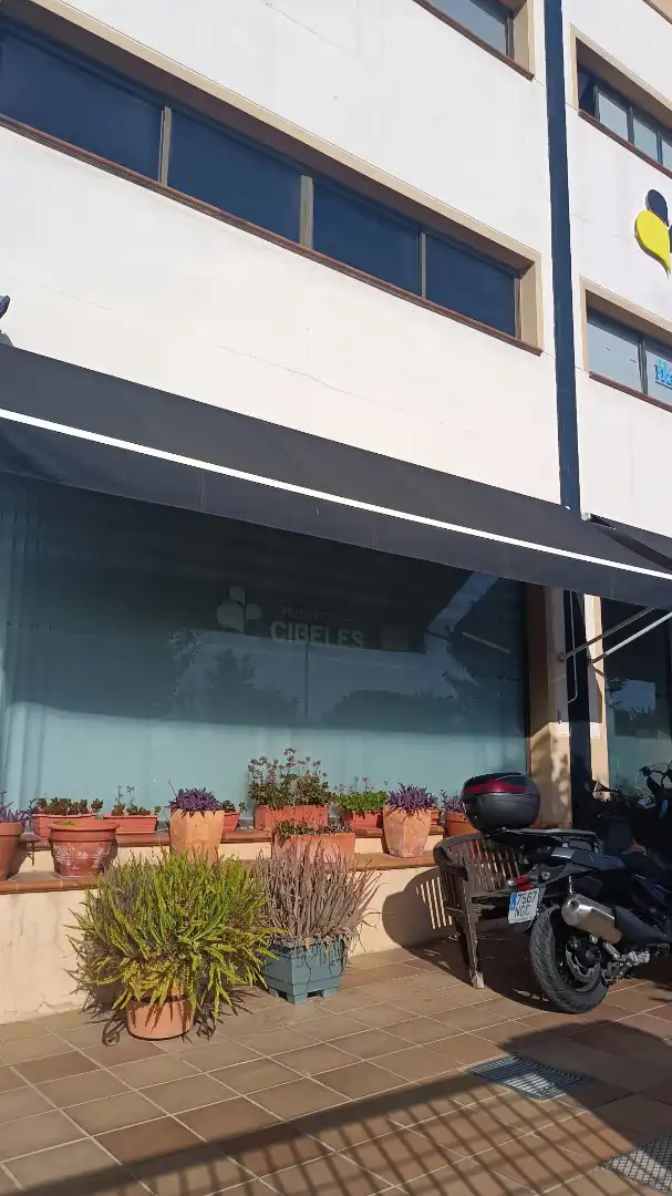 Gewerbefläche zur Miete in Calle Lonja, imagen 4