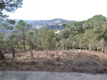Terreno residenziale in vendita a Eucaliptus 12