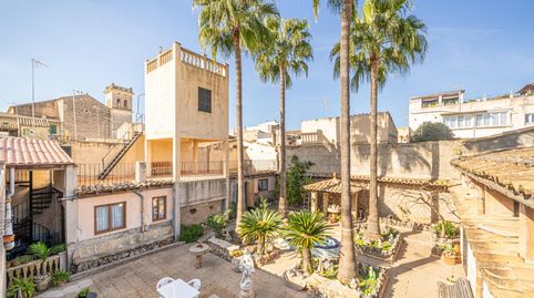 Photo 3 of Houses for sale in Centro, Inca
