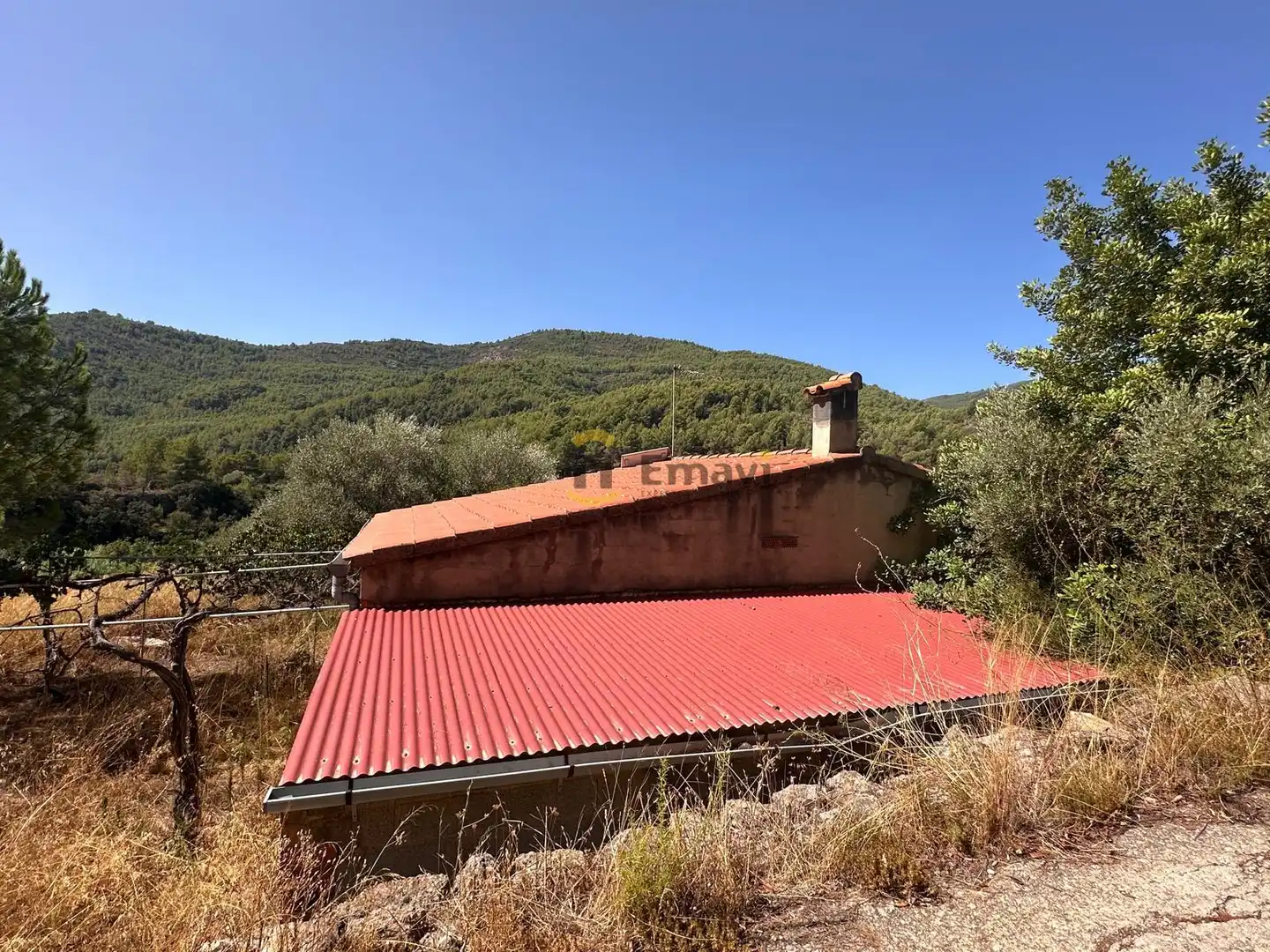Finca rústica en venta en Figueroles, Castellón