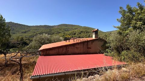 Foto 2 de Finca rústica en venta en Figueroles, Castellón