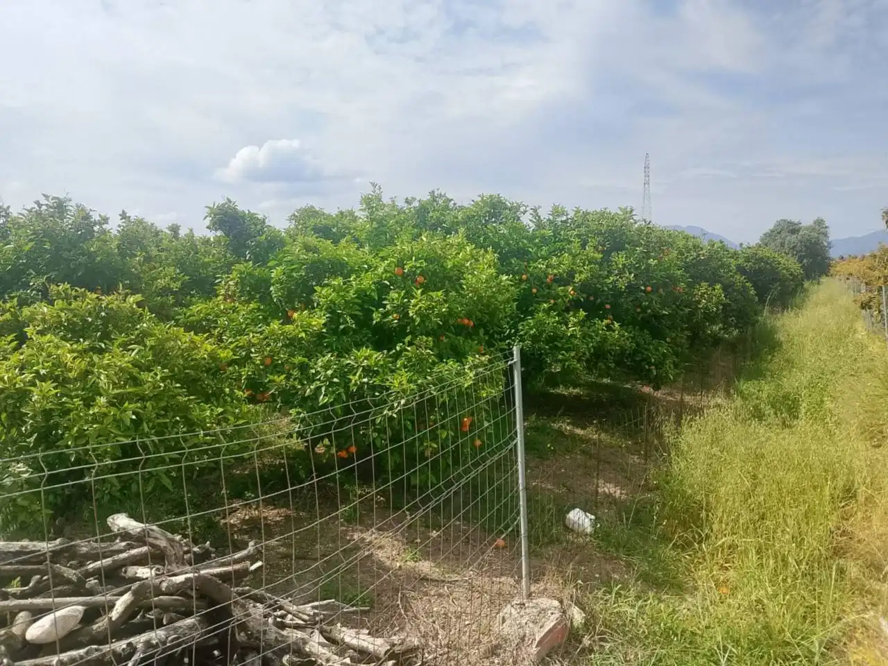 Land for sale in Guardamar de la Safor