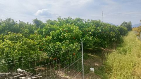Foto 5 von Grundstücke zum Verkauf in Camino Torre de Los Pares, Guardamar de la Safor, Valencia