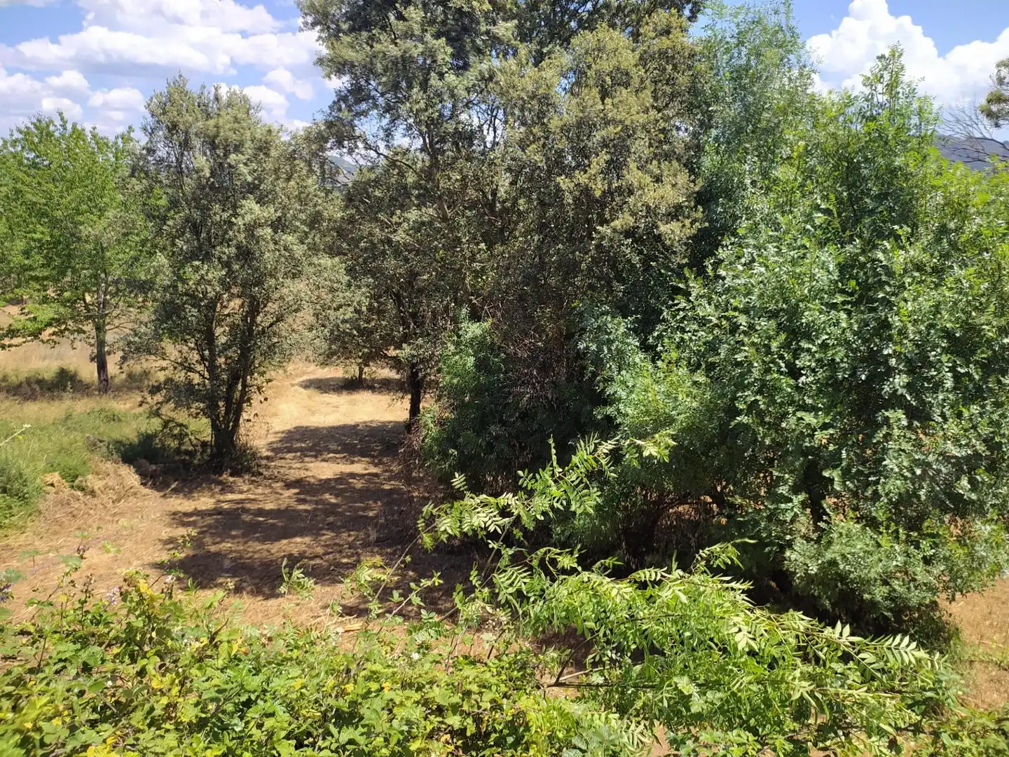 Terreni e lotti in vendita a Cubillos del Sil, imagen 3