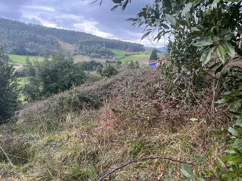 Terreno rustico in vendita a Selorio - Tornón, imagen 11