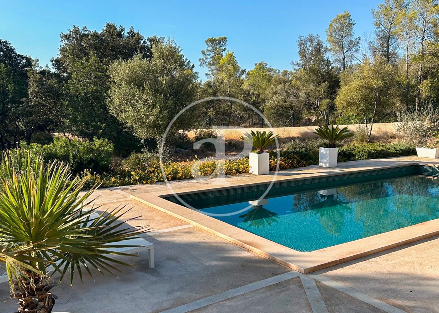 Piscina de Casa o xalet de lloguer en  Palma de Mallorca amb Aire condicionat, Calefacció i Jardí privat