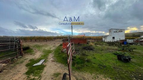 Parcela destinada al viñedo, con casa, en venta en Rueda. Pozo de agua legalizado., immagine 3