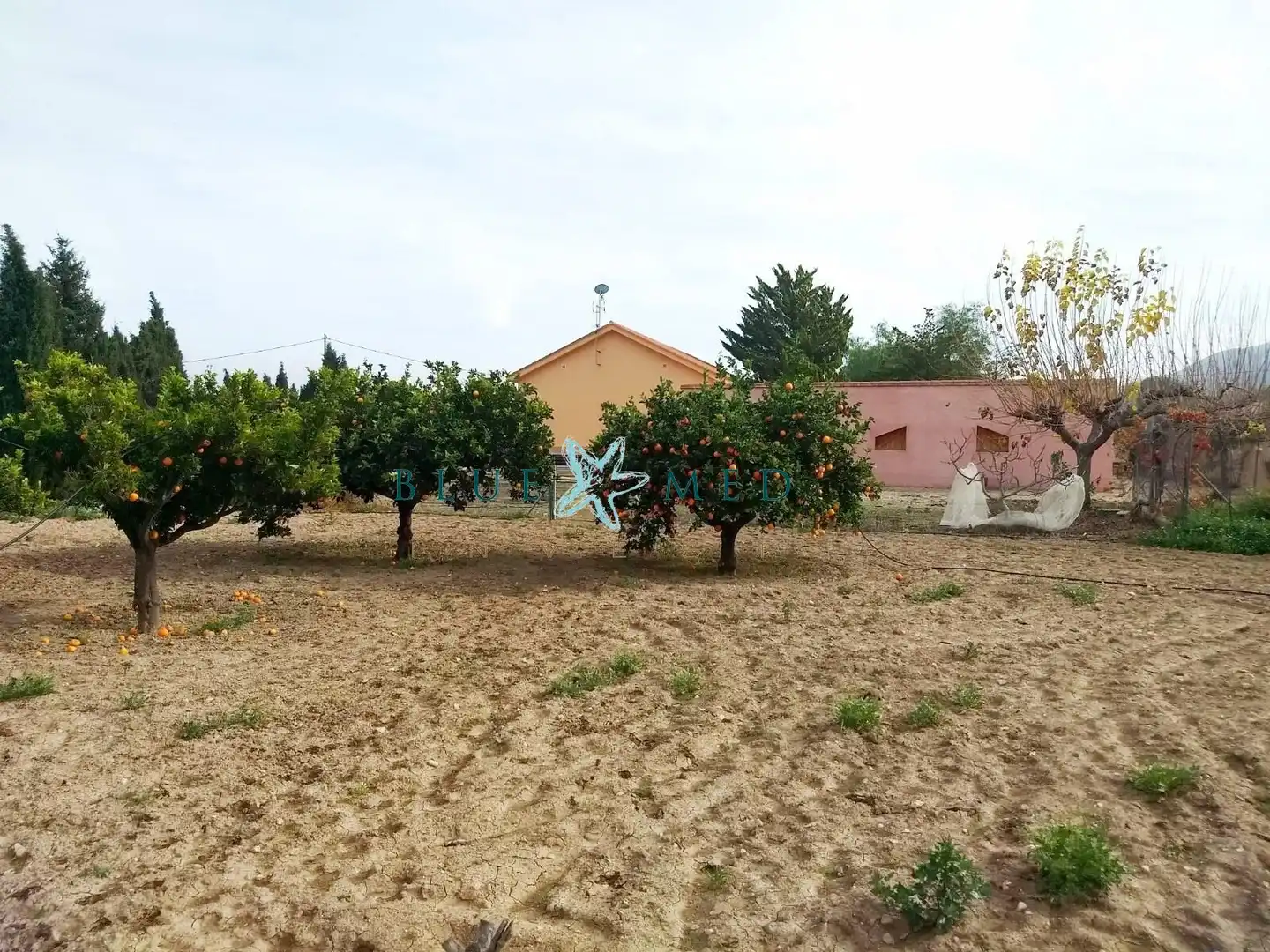 Casa o chalet en venta en Lorca con Aire acondicionado, Calefacción y Jardín privado