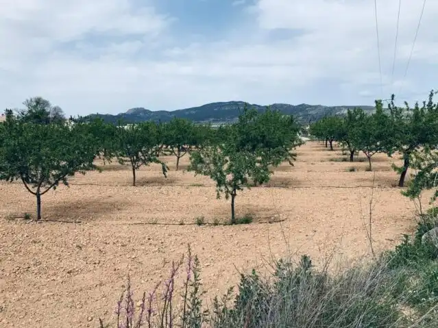 Terreny residencial en venda a La Romana, imagen 4