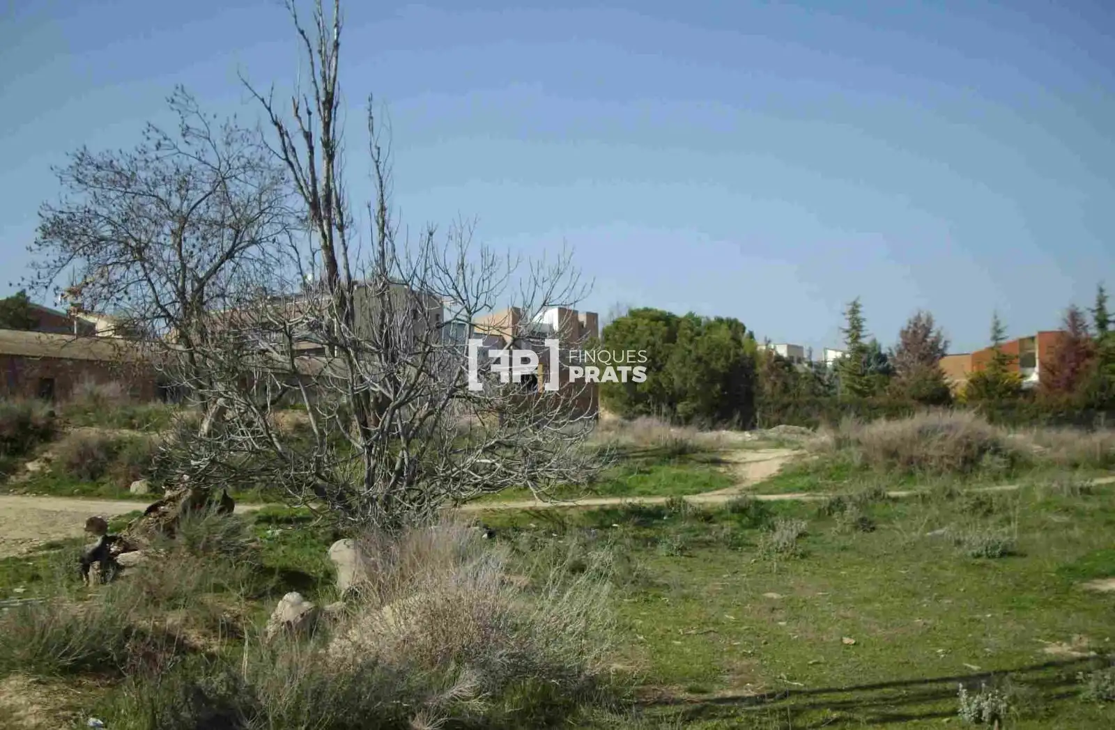 Terreno rustico in vendita a Francesc Macia, imagen 6