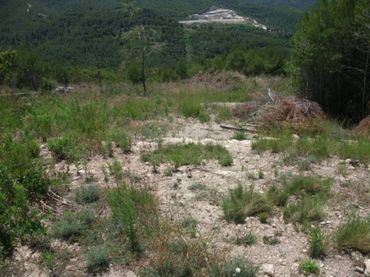Terreni e lotti in vendita a El Pont de Vilomara i Rocafort