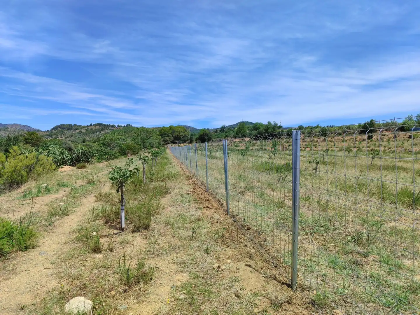 Terreno en venta en Riudecols
