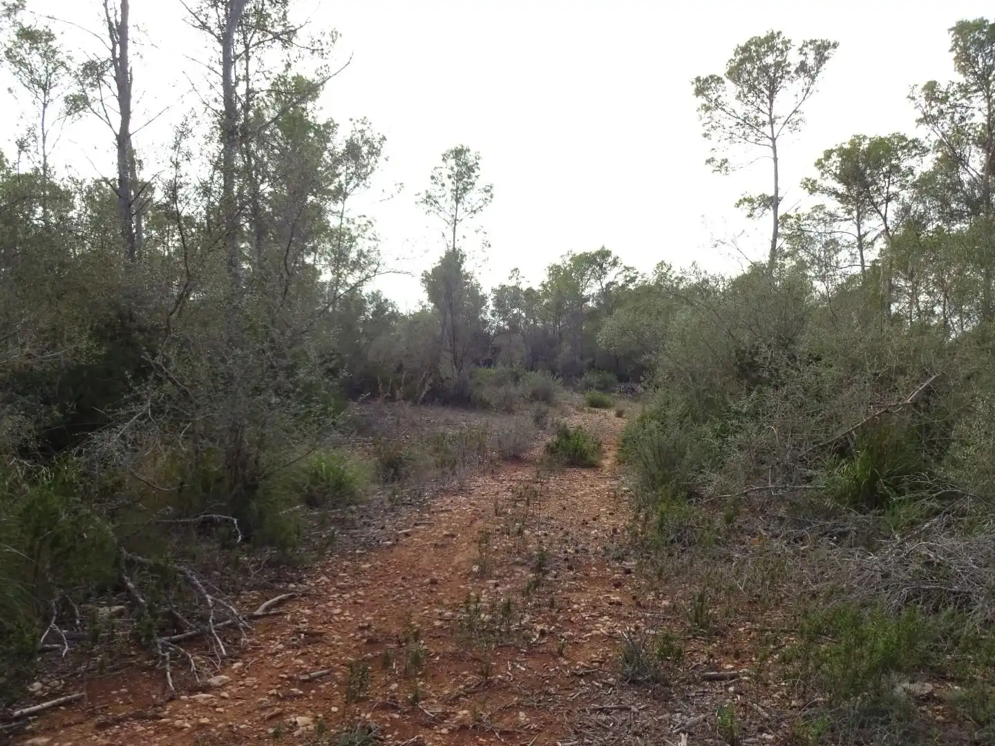 Finca rústica en venta en  Palma de Mallorca
