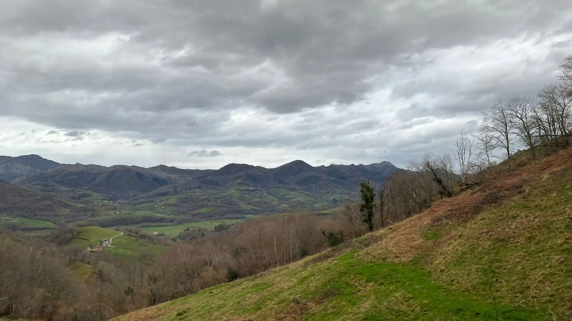Terreno rustico in vendita a Cangas de Onís, imagen 29