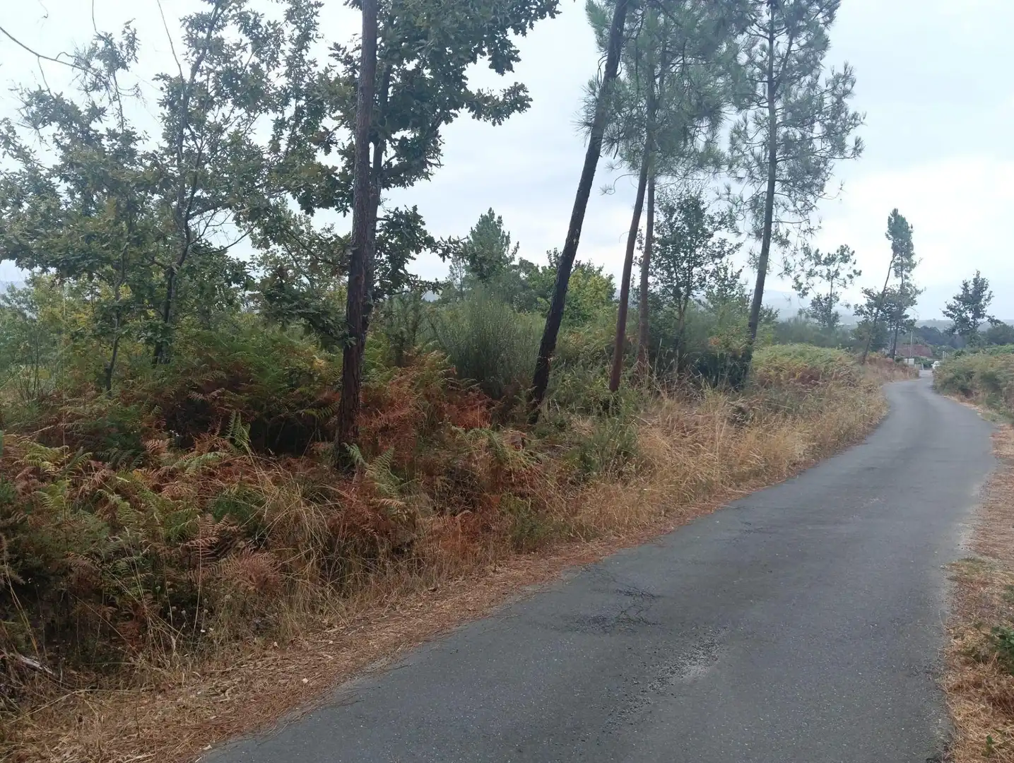 Terreny residencial en venda a Lugar Os Petraños, imagen 6