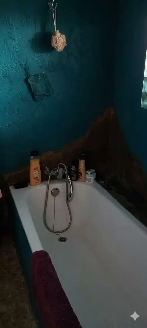Bany de Finca rústica en venda en Villar de Argañán