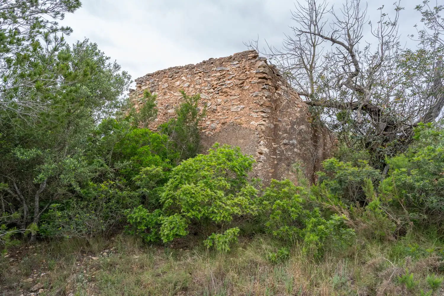 Terrain rustique à vendre à Camí Vell del Cementiri 4, imagen 2