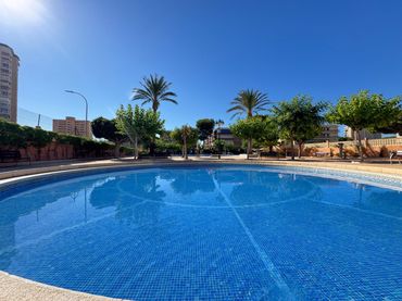 Pis amb piscina de lloguer a Playa Muchavista