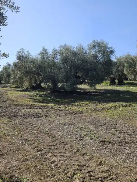Residencial en venda en Navas del Sepillar