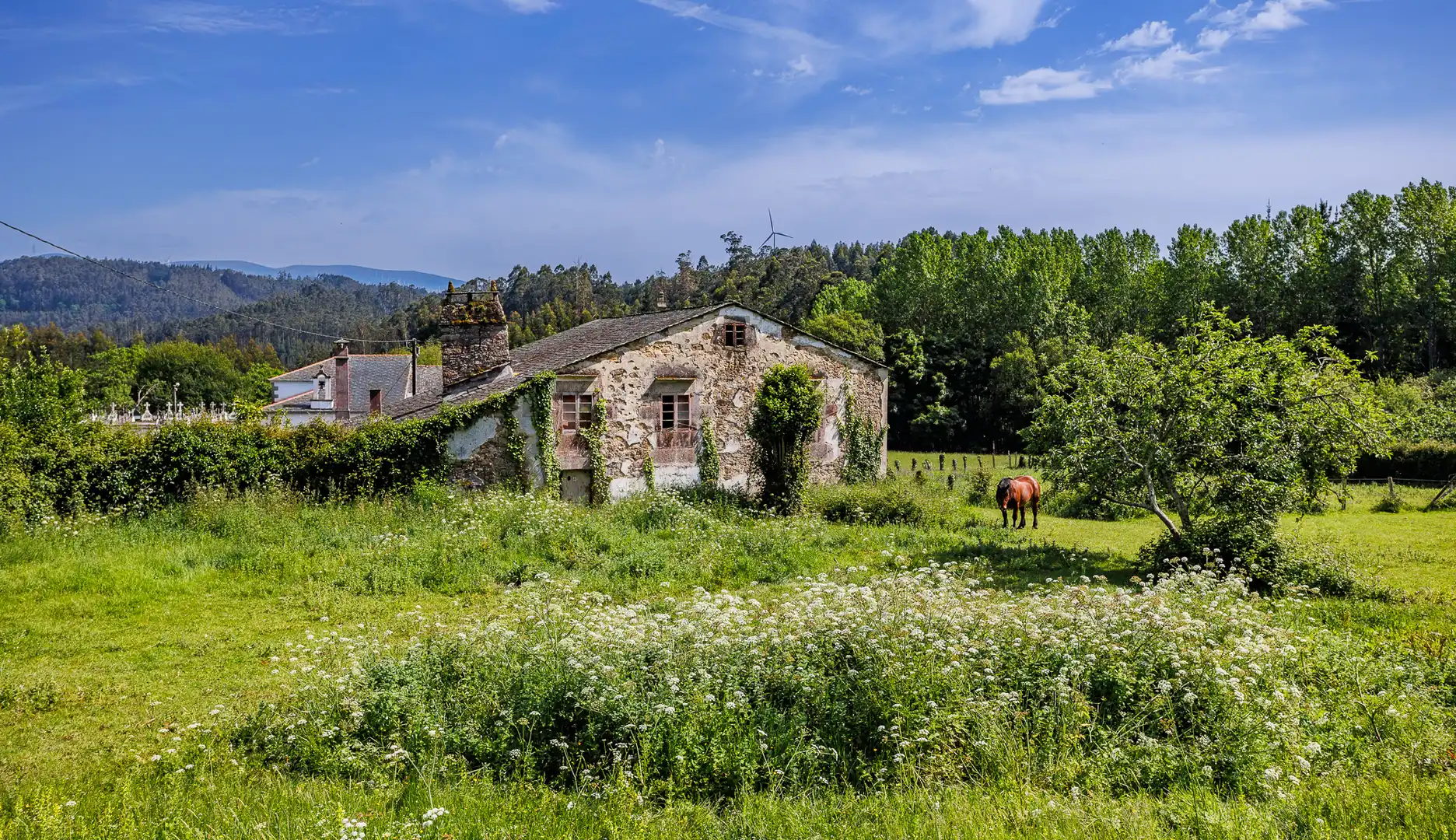 Vista exterior de Finca rústica en venda en Ourol