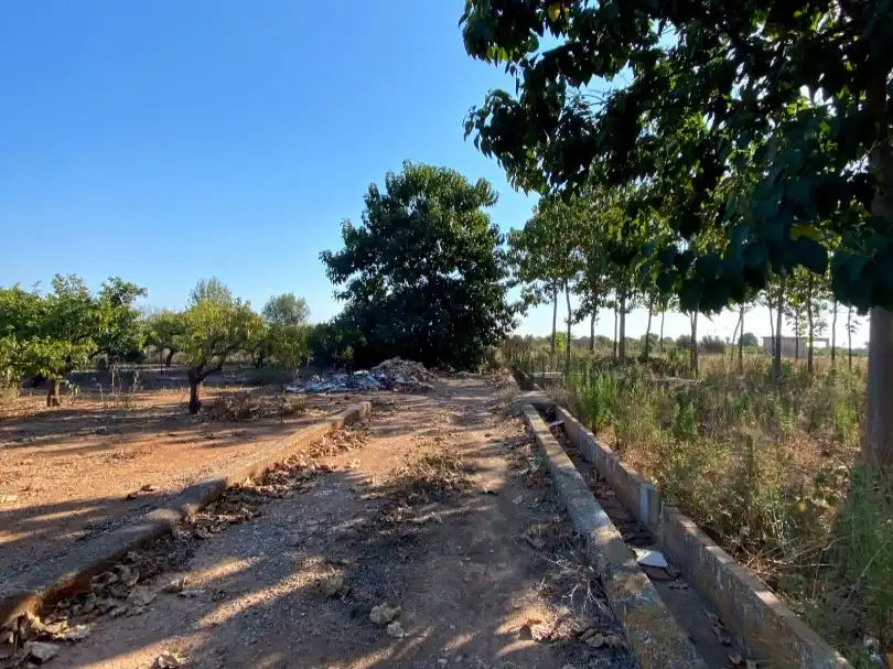 Terreno en venta en Vila-real