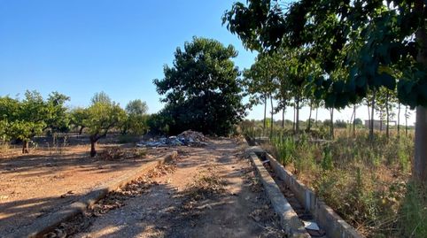 Foto 4 de Terreno en venta en Camí del Sedre, Cariñena - Carinyena, Vila-real
