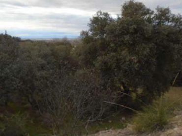 Terreno residencial en venta en Los Cigarrales - La Bastida