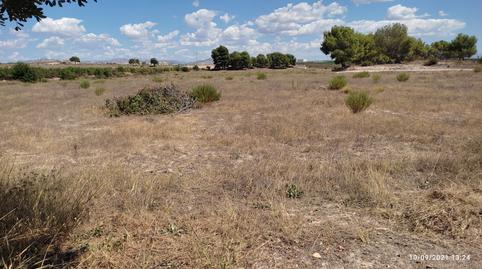 Photo 3 of Premises to rent in Rm-a5, Los Valientes, Molina de Segura