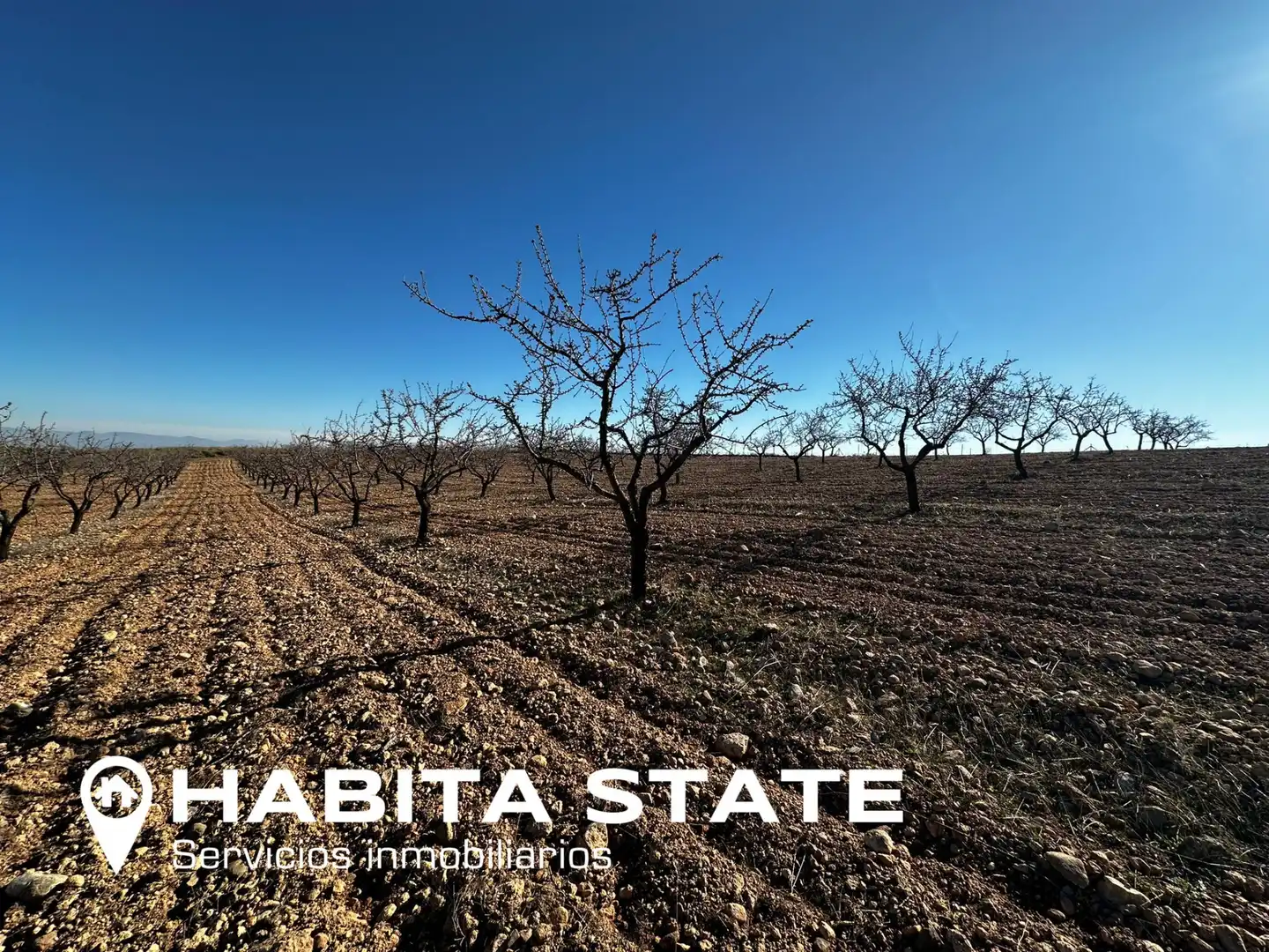Land for sale in Baza