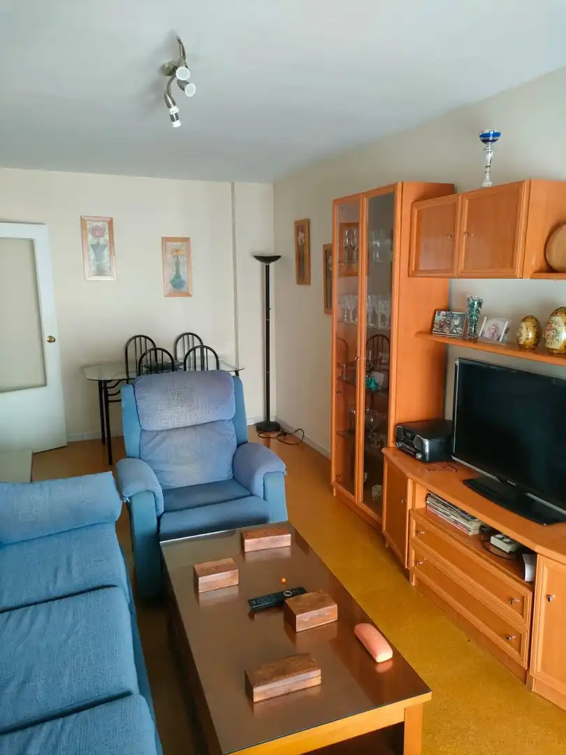 Living room of Flat for rent in Sevilla  with Air Conditioner and Furnished