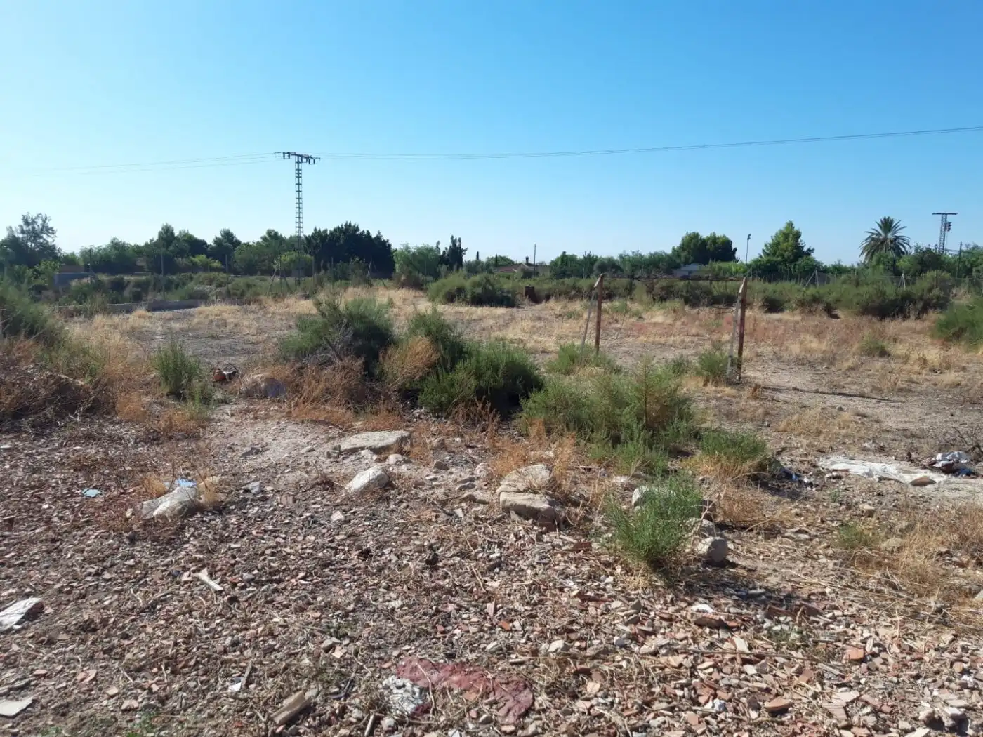 Finca rústica en venta en Crevillent