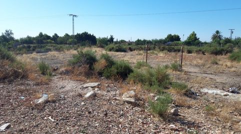 Foto 5 de Finca rústica en venta en Crevillent, Alicante