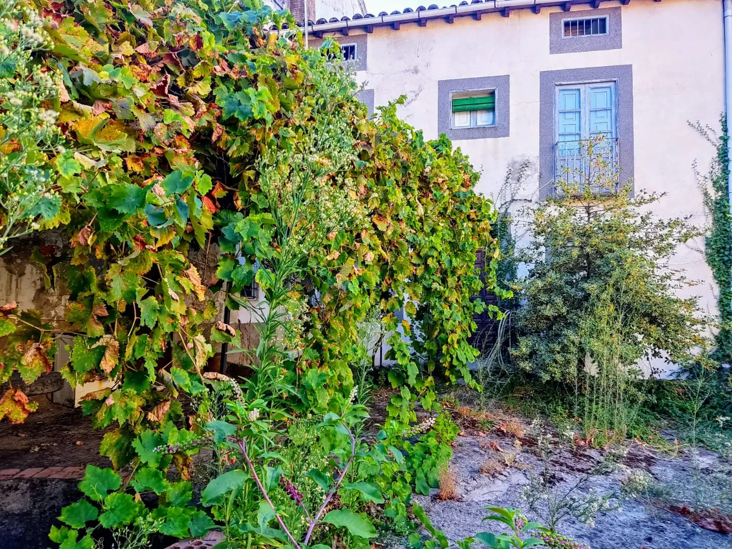 Jardí de Casa o xalet en venda en Jarandilla de la Vera amb Jardí privat