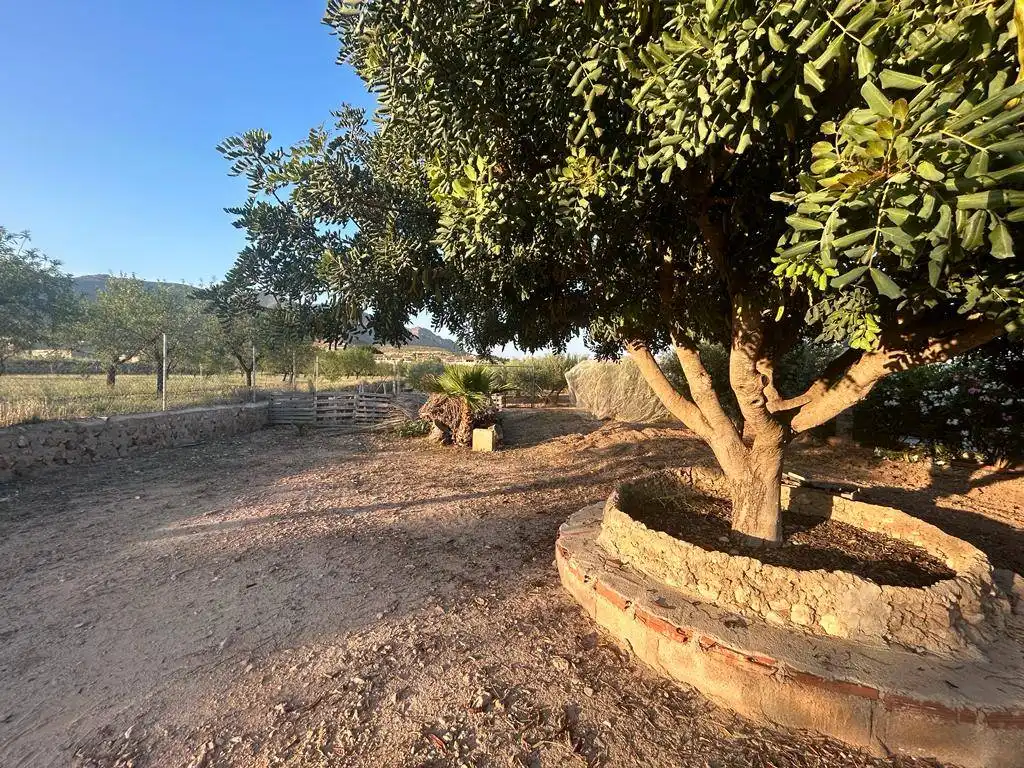 Casa rústica amb piscina en venda a Hondón de las Nieves / El Fondó de les Neus, imagen 28