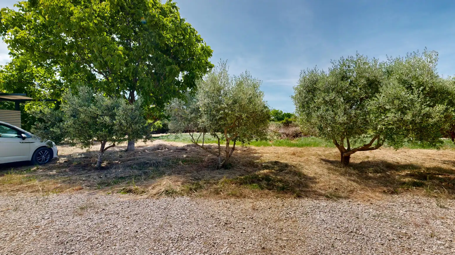 Rural land for sale in Tafalla - PARAJE LA RECUEJA, imagen 16