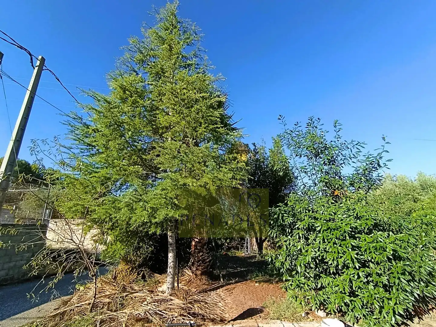 Chalet en venta en Sant Josep - Zona Hospital, imagen 4