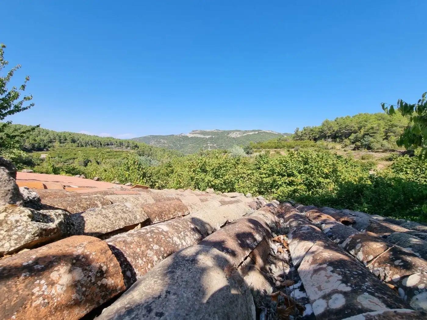 Terrain rustique à vendre à Tivissa, imagen 11