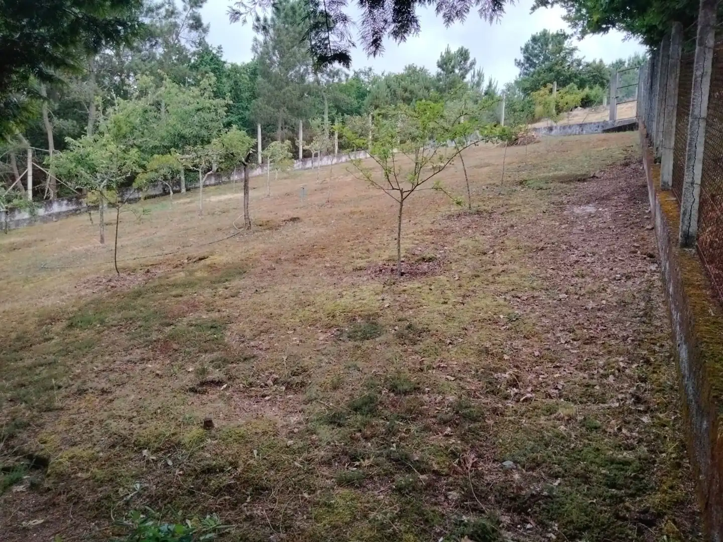 Casa o chalet en venta en Coles con Calefacción, Jardín privado y Terraza