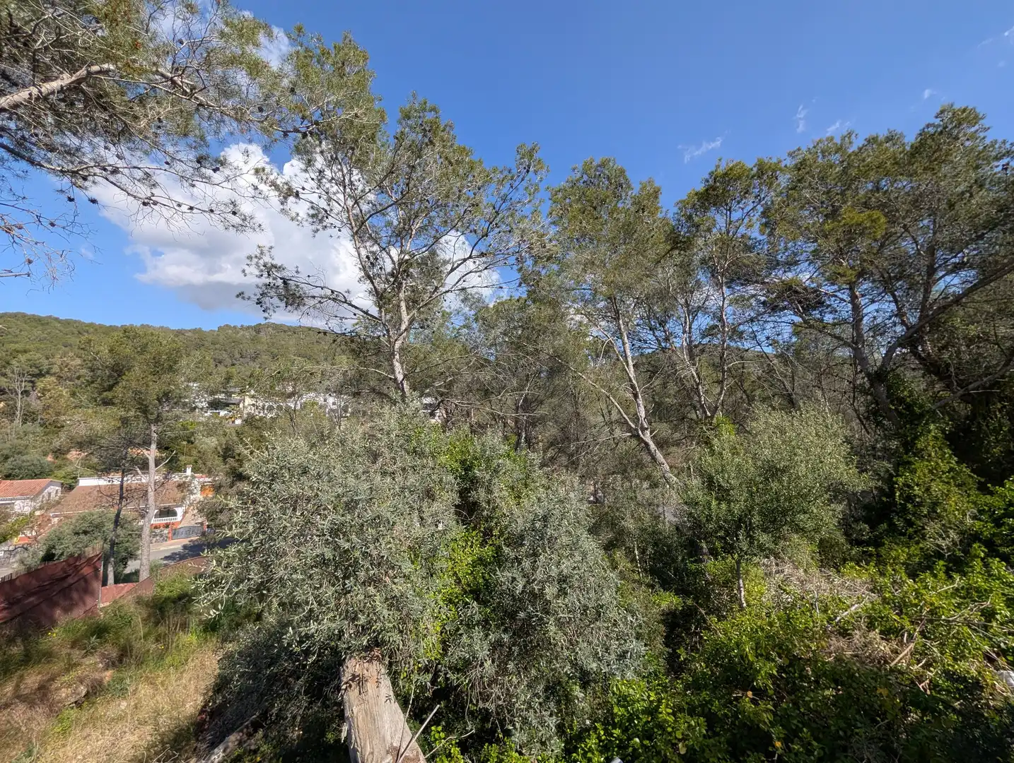 Residential land for sale in Carrer de les Torres, imagen 17