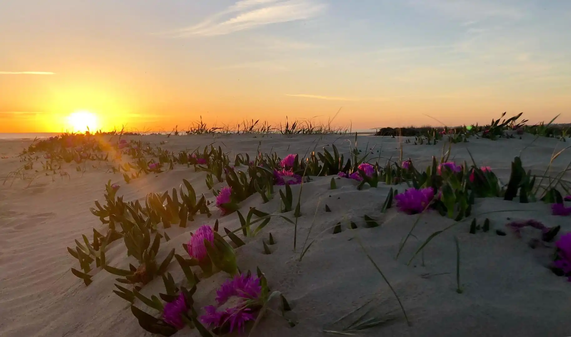 Xalet amb jardí en venda a El Palmar, imagen 37