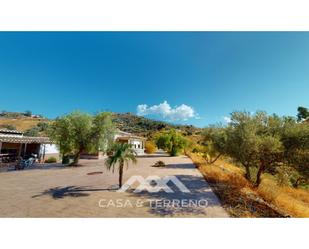 Vista exterior de Casa o xalet en venda en Canillas de Aceituno amb Aire condicionat i Piscina