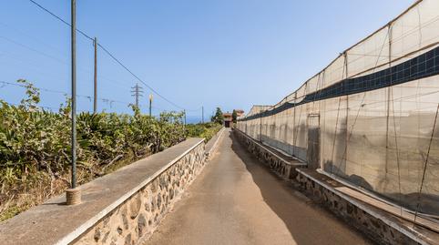 Foto 2 de Finca rústica en venda a Tejina, Santa Cruz de Tenerife