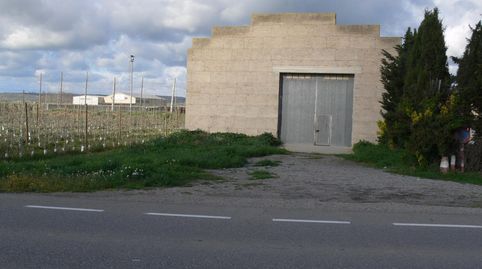 NAVE INDSUTRIAL  PLANTACIÓN DE FRUTALES