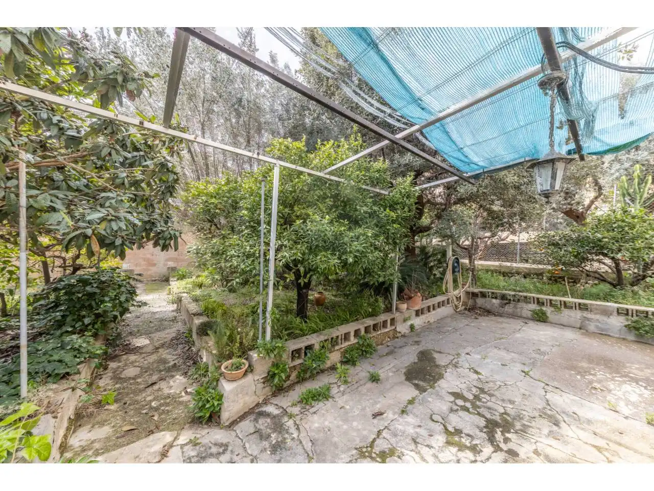 Maison à vendre à Selva, imagen 2